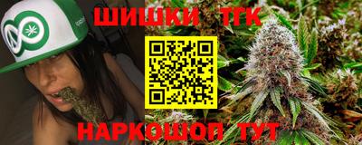 индика Будённовск