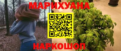 индика Будённовск